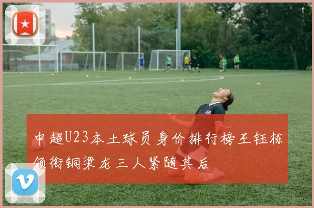 中超U23本土球员身价排行榜王钰栋领衔铜梁龙三人紧随其后